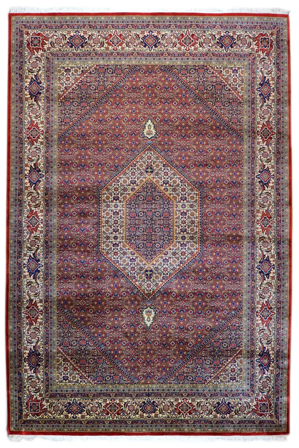  Bidjar - (303x200 cm) - Premium Teppich from German Carpet Shop - Just €1500! Shop now at German Carpet Shop